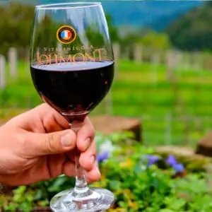 TOUR ESPECIAL CANELA BY JOLIMONT VINÍCOLA COM CHURRASCO NO GARFO E BOMBACHA