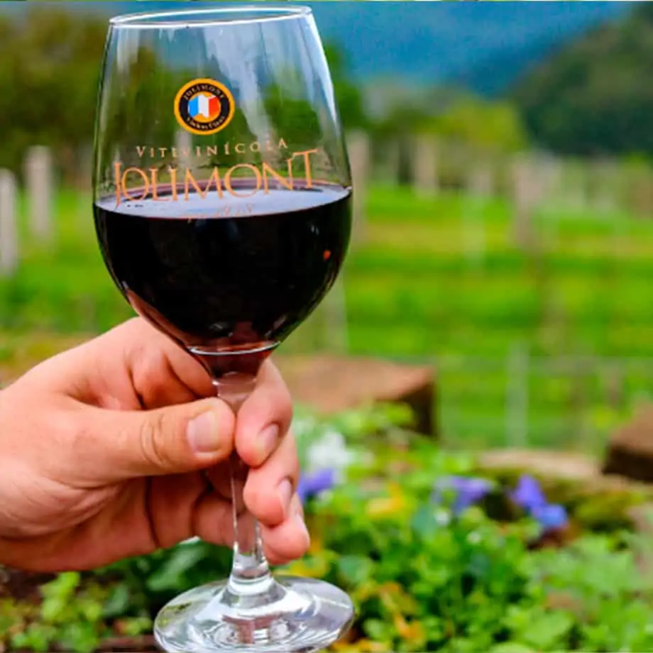 TOUR ESPECIAL CANELA BY JOLIMONT VINÍCOLA COM CHURRASCO NO GARFO E BOMBACHA